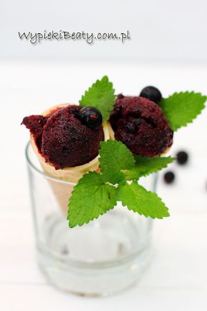 sorbet z czarnej porzeczki2