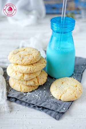chocolate chip coconut cookies