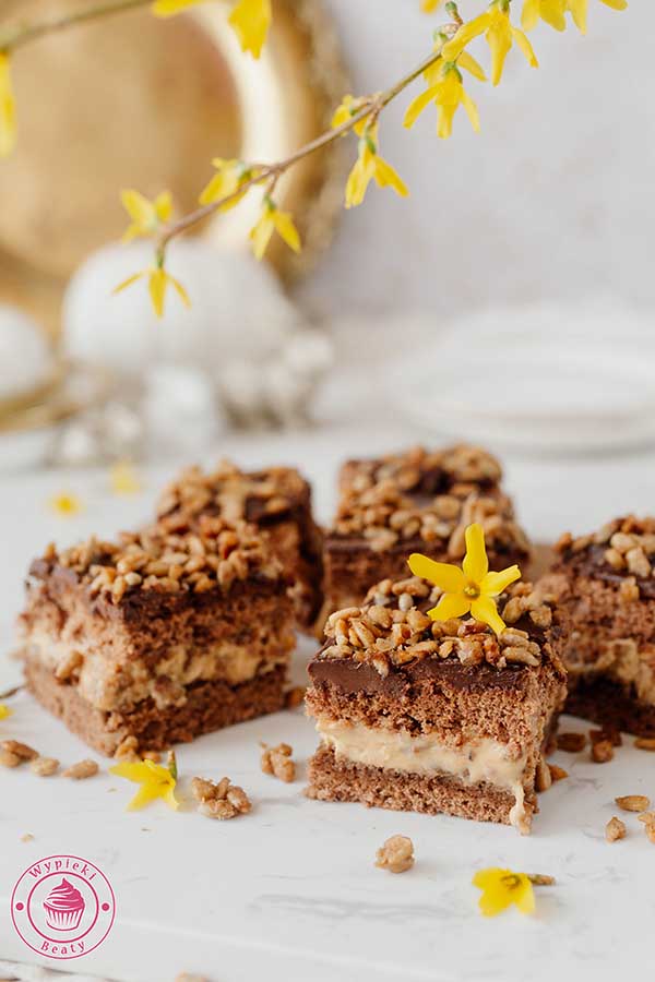 sunflower seed cake