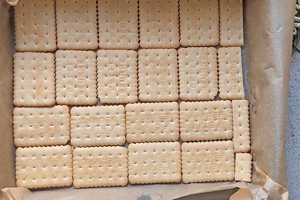 Ekspresowy miodownik bez pieczenia spodnia warstwa herbatników ułożona w formie