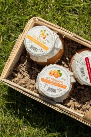 c93b7e090b59d5e50669e7f2ef2baca7 1